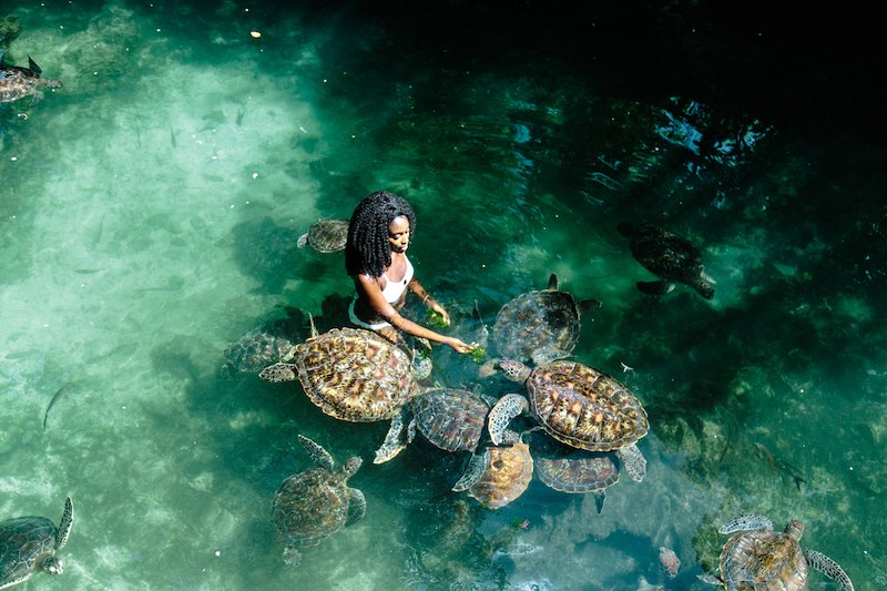 Nager avec les Tortues de Mer