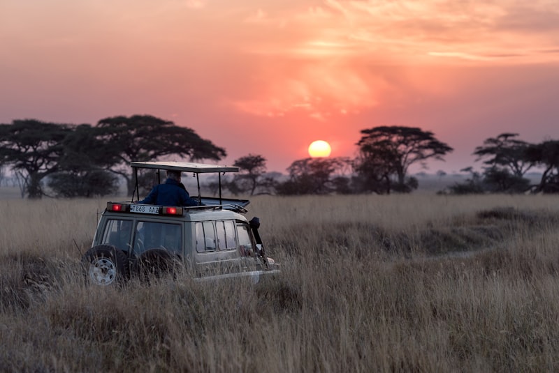 Parc National du Serengeti